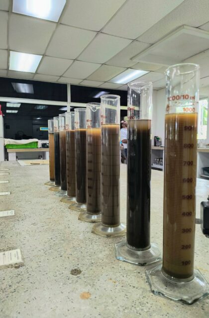 Lab Lab