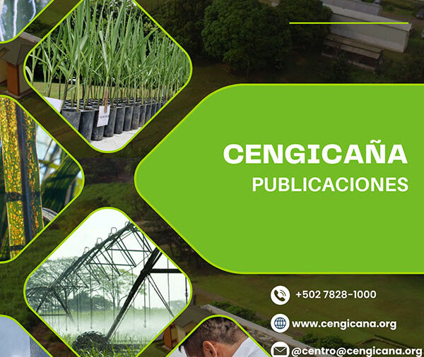 Publicación CENGICAÑA